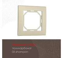 Рамка из поликарбоната на 1 пост Arte Milano 503.06-1.shampan