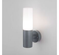 Уличный настенный светильник Elektrostandard a049718_ES