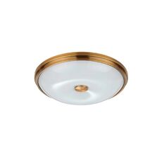 Потолочный светильник Odeon Light PELOW 4956/4