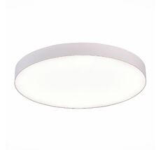 Потолочный светильник ST Luce ST606.542.96