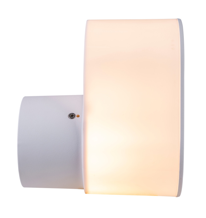 Уличный настенный светильник SALLI 32101W_GL