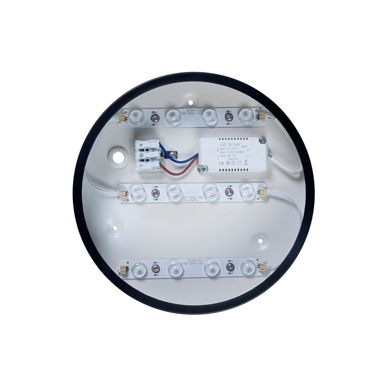 Потолочный светильник Loft IT Axel 10002/12 Black_LF