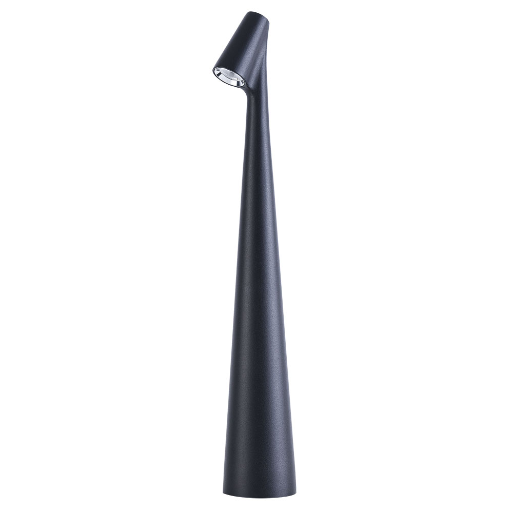 Настольная лампа Arte Lamp FUSION A3283LT-2BK