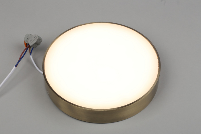 Потолочный светильник круглый светодиодный Aployt APL.0113.29.24