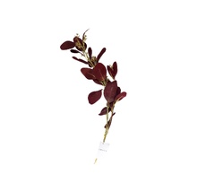 Веточка эвкалипта Garda Decor 9F28558BR