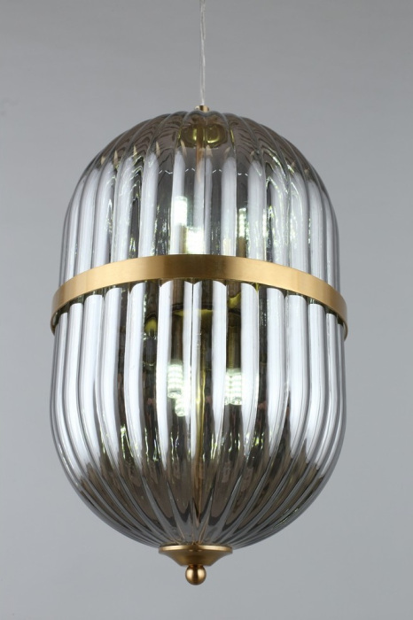 Подвесной светильник Aployt APL.860.06.06