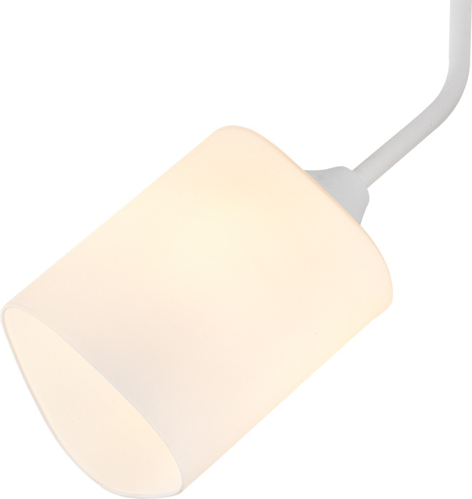 Люстра потолочная накладная с матовым плафоном Escada 2102/3P_ESC