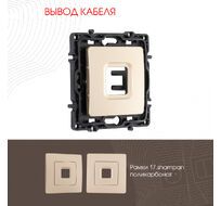 Вывод кабеля Arte Milano 217.49-1.shampan