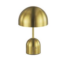 Настольная лампа EVOLUCE ECLAT SLE1806-204-01