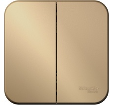 Выключатель накладной двухклавишный (титан) Systeme Electric BLNVA105014