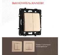 Выключатель жалюзи 10A 250V Arte Milano 217.38-2.shampan