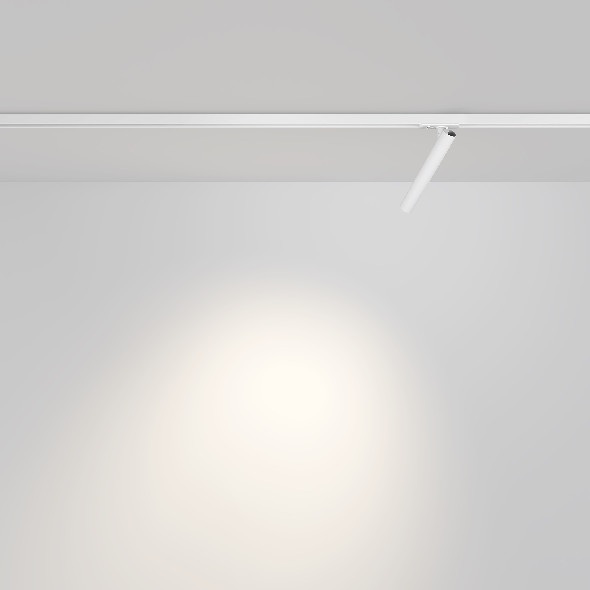 Трековый светильник Maytoni Focus T TR141-1-6W3K-M-W_MY