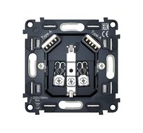Розетка 2USB A+A 18W быстрая зарядка с заземлением на винтовых зажимах 16A 250V Ambrella Volt QUANT VM155_AMB