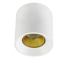 Накладной светильник Denkirs DK3090-WH+YE