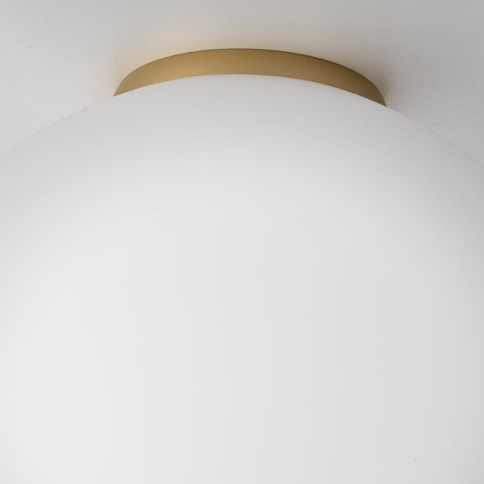 Настенно-потолочный светильник Citilux Ron CL941D25B2