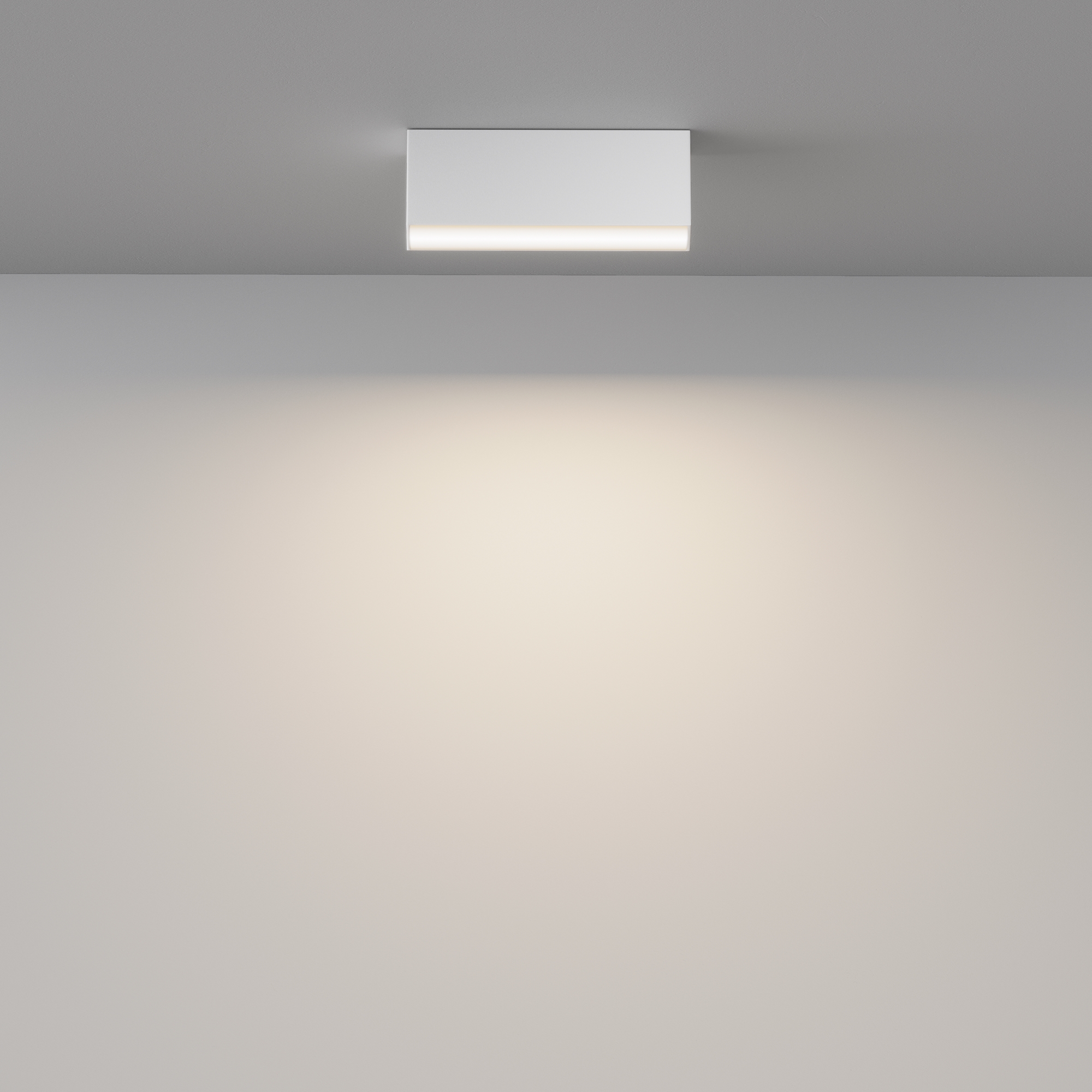 Потолочный светильник Maytoni Basis C068CL-12W3-6K-W_MY