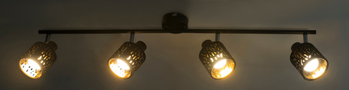 Спот Globo TROY 54121-4_GL