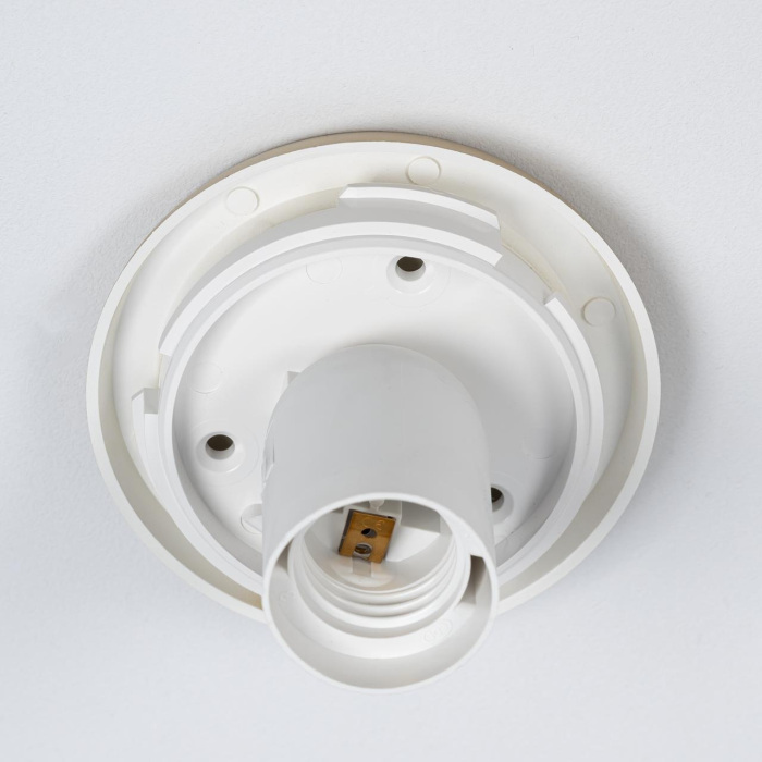 Настенно-потолочный светильник Citilux Ron CL941D25B2