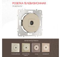 Розетка TV Arte Milano 202.43-1.shampan