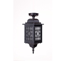 Потолочный светильник уличный IP44 Oasis Light 64805SA cover Bl_OL