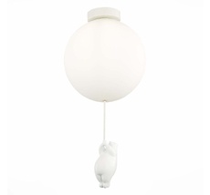 Потолочный светильник Evoluce MODENA SLE115412-01