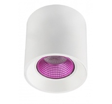 Накладной светильник Denkirs DK3090-WH+PI