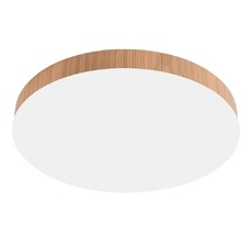 Потолочный светодиодный светильник Feron 51109_FR