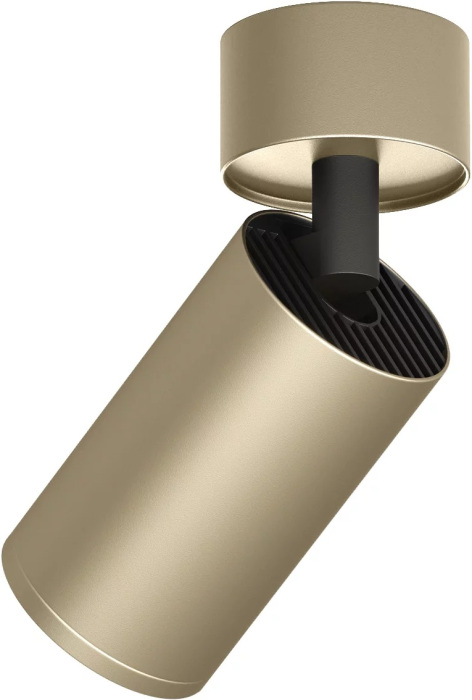 Спот накладной Denkirs DK2029-GG