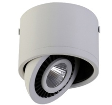 Потолочный светильник Favourite 1776-1C