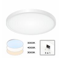 Настенно-потолочный светильник CitiLux Бейсик CL738320V