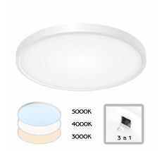 Настенно-потолочный светильник CitiLux Бейсик CL738320V