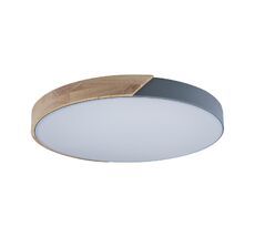 Потолочный светильник Loft IT Axel 10004/36 Grey_LF