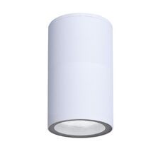 Уличный потолочный светильник Arte Lamp MISTERO A3302PF-1WH