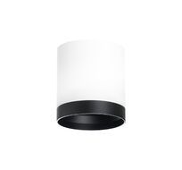 Накладной светильник LightStar Rullo R34863487_LS