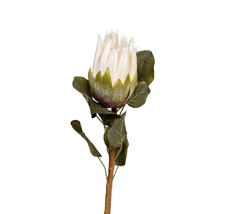 Протея белая Garda Decor 9F-28375