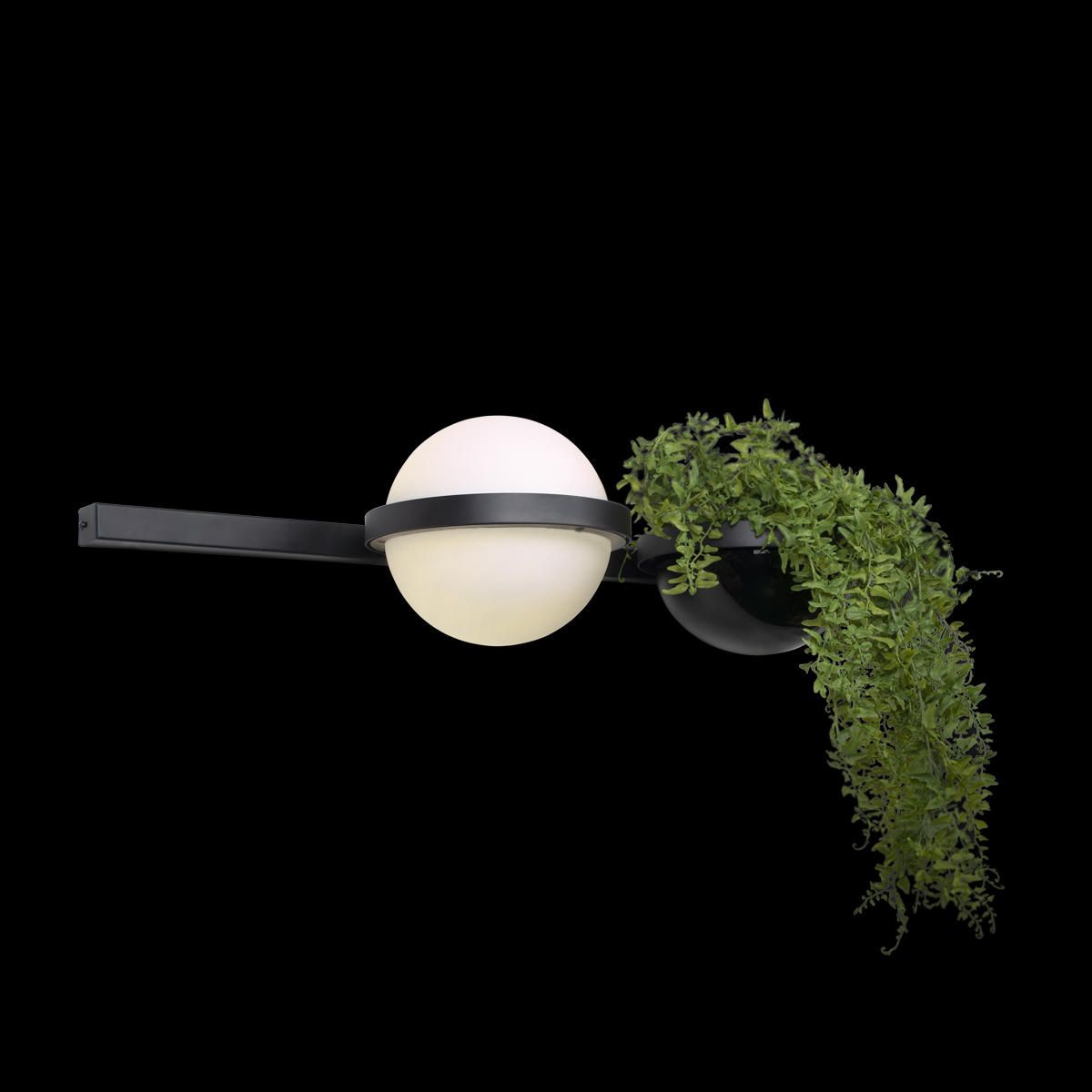 Настенный светильник Loft IT Jardin 10121W/A_LF