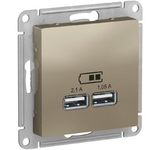 Розетка встраиваемая USBх2 (шампань) Systeme Electric ATN000533