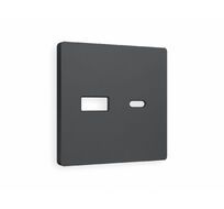 Лицевая панель для розетки 2USB тип A+C Ambrella Volt QUANT AP9110_AMB