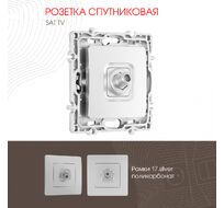 Розетка спутниковая SAT TV Arte Milano 217.42-1.silver