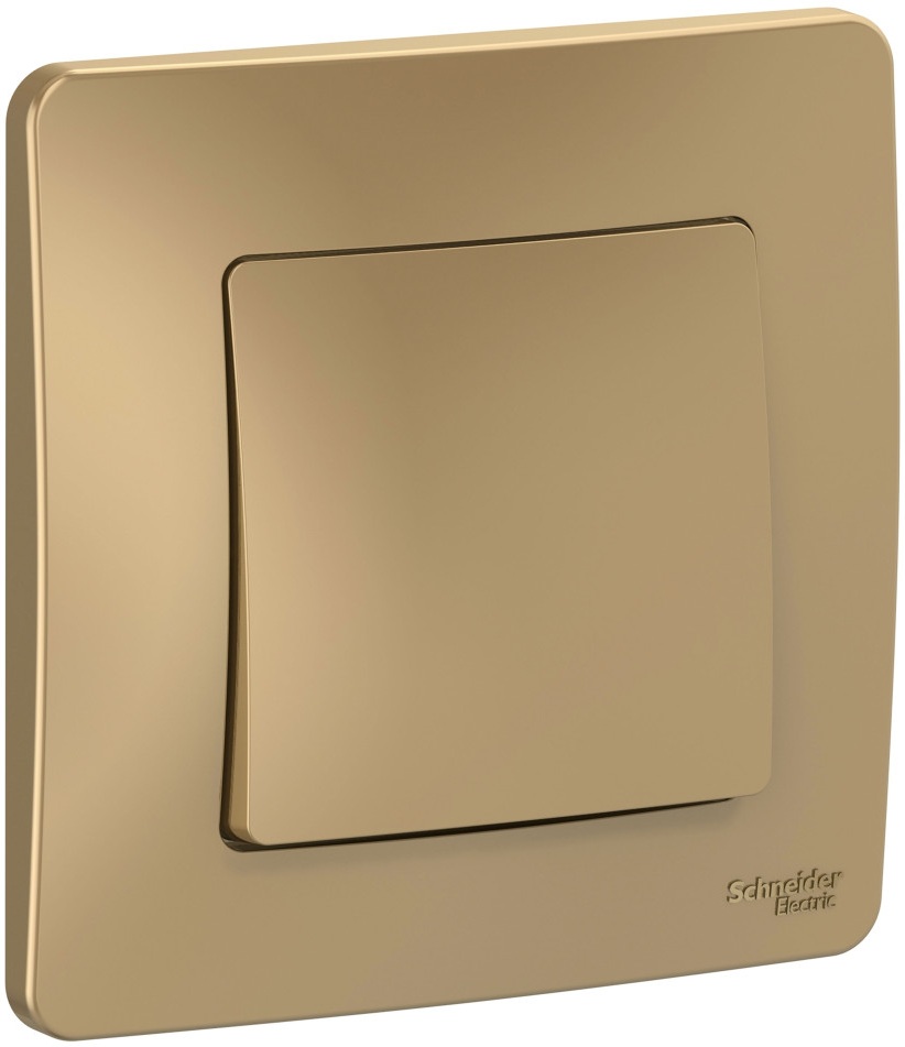 Выключатель встраиваемый одноклавишный (титан) Systeme Electric BLNVS010104