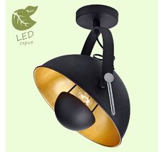 Потолочный светильник Lussole SHERRELWOOD GRLSP-9825