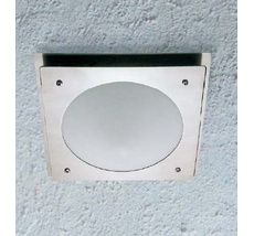 Потолочный светильник уличный IP44 Oasis Light 77803 SS_OL