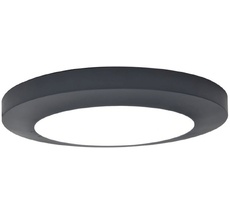 Потолочный светильник уличный IP54 светодиодный Oasis Light W3922 Gr_OL