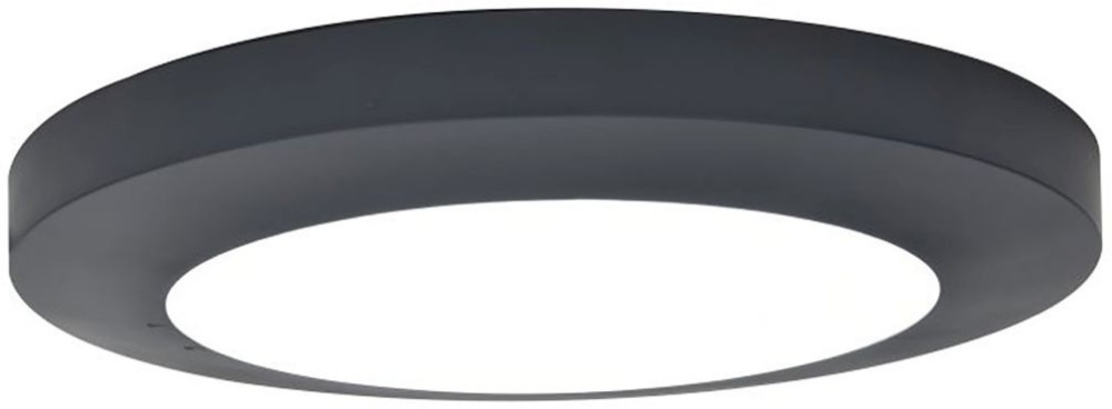 Потолочный светильник уличный IP54 светодиодный Oasis Light W3922 Gr_OL