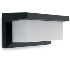 Настенный светильник уличный IP54 Feron 11685_FR