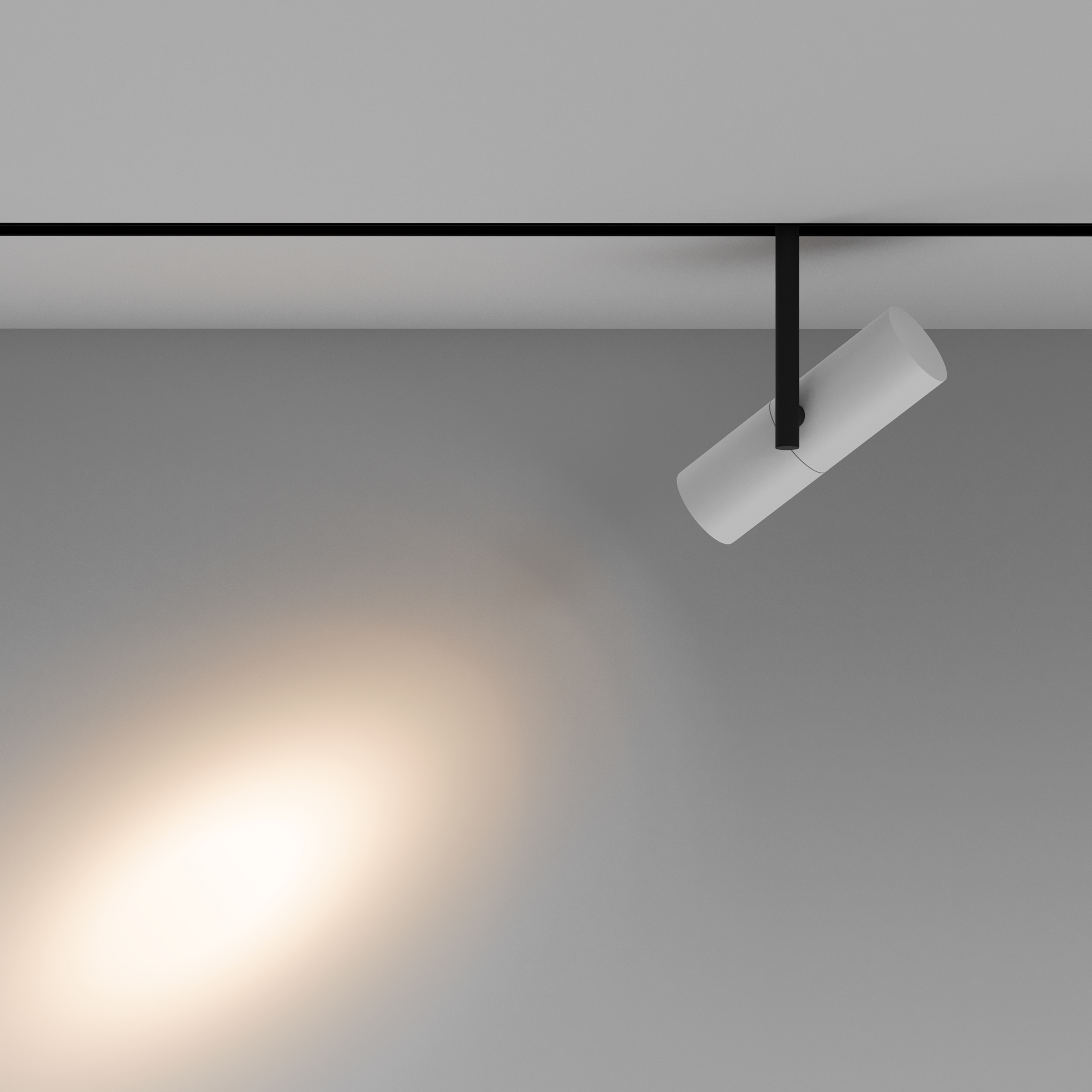 Трековый светильник Maytoni Elti TR005-2-12W3K-BW_MY