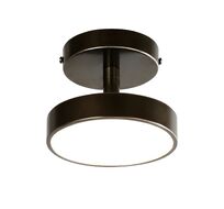 Потолочный светильник F-Promo Daur 3060-1P