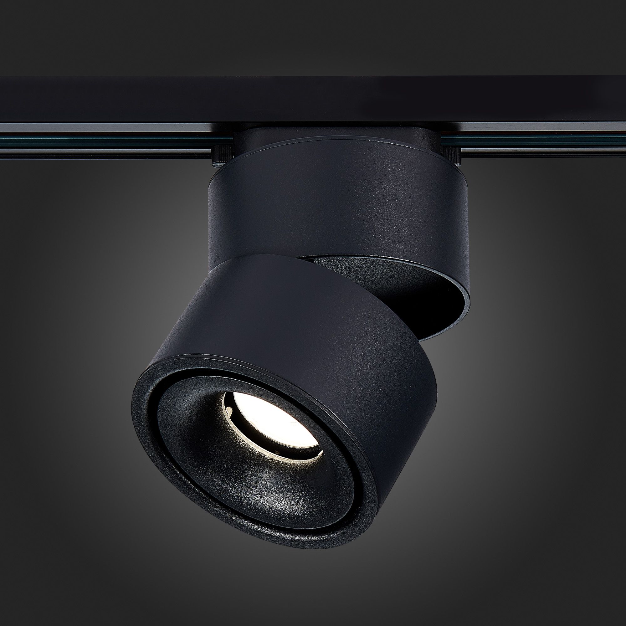 Трековый светильник ST Luce ST652 ST652.436.12