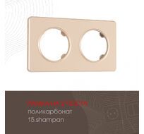 Рамка из поликарбоната на 2 поста Arte Milano 502.15-2.shampan