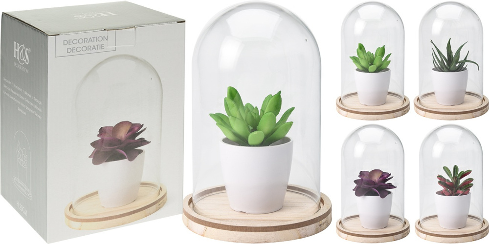 Суккулент в горшке в стекл. куполе H20 см в асс. (4) Garda Decor HZ1002200